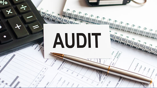 Appointing Your First Auditor